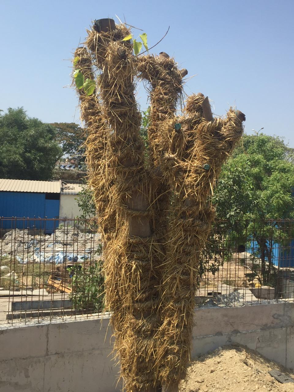 Protective Tree Wrapping